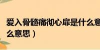 愛入骨髓痛徹心扉是什么意思(痛徹心扉是什么意思)