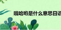 哦哈喲是什么意思日語(哦哈喲)
