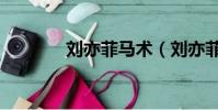 劉亦菲馬術(劉亦菲一字馬)