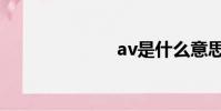 av是什么意思?