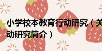 小學校本教育行動研究(關于小學校本教育行動研究簡介)