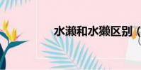 水瀨和水獺區別(水懶)