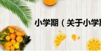 小學期(關于小學期簡介)