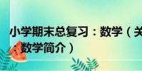 小學期末總復習:數學(關于小學期末總復習:數學簡介)