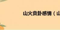 山火賁卦感情(山火賁)