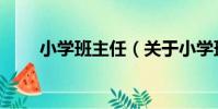 小學班主任(關于小學班主任簡介)