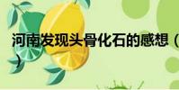 河南發現頭骨化石的感想(河南發現頭骨化石)