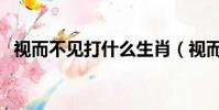 視而不見打什么生肖(視而不見打一生肖)