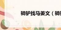 騎驢找馬姜文(騎驢找馬)