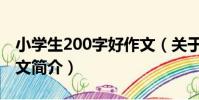小學生200字好作文(關于小學生200字好作文簡介)