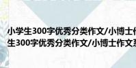 小學生300字優秀分類作文/小博士作文系列叢書(關于小學生300字優秀分類作文/小博士作文系列叢書簡介)