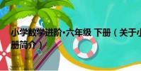 小學數學進階·六年級 下冊(關于小學數學進階·六年級 下冊簡介)