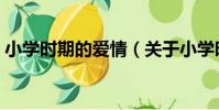 小學時期的愛情(關于小學時期的愛情簡介)
