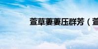 萱草萋萋壓群芳(萱草萋萋)