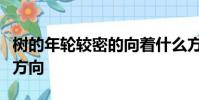 樹的年輪較密的向著什么方向較疏的向著什么方向