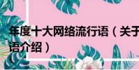年度十大網絡流行語(關于年度十大網絡流行語介紹)