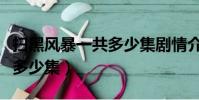 掃黑風暴一共多少集劇情介紹(掃黑風暴一共多少集)