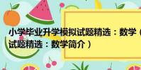 小學畢業升學模擬試題精選:數學(關于小學畢業升學模擬試題精選:數學簡介)