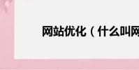 網站優化(什么叫網站優化)