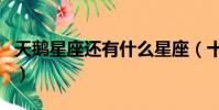 天鵝星座還有什么星座(十二星座有天鵝座嗎)