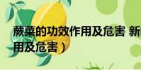 蕨菜的功效作用及危害 新聞(蕨菜的功效作用及危害)