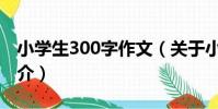 小學生300字作文(關于小學生300字作文簡介)