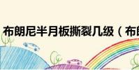 布朗尼半月板撕裂幾級(布朗尼半月板撕裂)