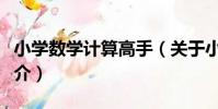 小學數學計算高手(關于小學數學計算高手簡介)
