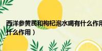 西洋參黃芪和枸杞泡水喝有什么作用(黃芪和枸杞泡水喝有什么作用)