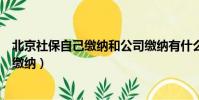 北京社保自己繳納和公司繳納有什么區別嗎(北京社保自己繳納)