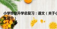 小學畢業升學總復習:語文(關于小學畢業升學總復習:語文簡介)