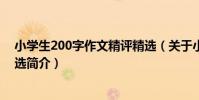 小學生200字作文精評精選(關于小學生200字作文精評精選簡介)