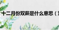 十二月份雙薪是什么意思(雙薪是什么意思)