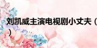 劉凱威主演電視劇小丈夫(劉凱威主演電視劇)