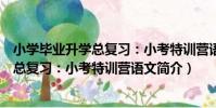 小學畢業升學總復習:小考特訓營語文(關于小學畢業升學總復習:小考特訓營語文簡介)