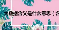 大數據含義是什么意思(含義是什么意思)