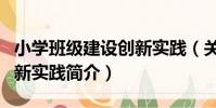 小學班級建設創新實踐(關于小學班級建設創新實踐簡介)