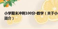 小學期末沖刺100分·數學(關于小學期末沖刺100分·數學簡介)