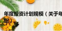 年度投資計劃規模(關于年度投資計劃規模介紹)