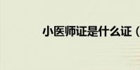 小醫師證是什么證(小醫師)