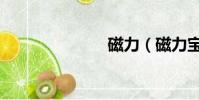 磁力(磁力寶)