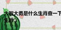 大智大勇是什么生肖查一下(大智大勇是什么生肖)