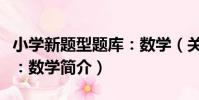 小學新題型題庫:數學(關于小學新題型題庫:數學簡介)