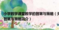 小學數學課堂教學的智慧與策略(關于小學數學課堂教學的智慧與策略簡介)
