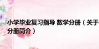 小學畢業復習指導 數學分冊(關于小學畢業復習指導 數學分冊簡介)