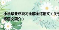 小學畢業總復習全解全練語文(關于小學畢業總復習全解全練語文簡介)