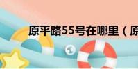 原平路55號在哪里(原平路55號)