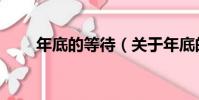 年底的等待(關于年底的等待介紹)