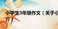 小學生3年級作文(關于小學生3年級作文簡介)
