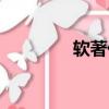 軟著代理申請（軟著代理）